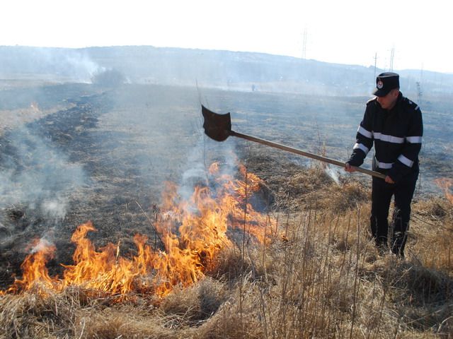 Intervenții în ultimele 24 de ore.